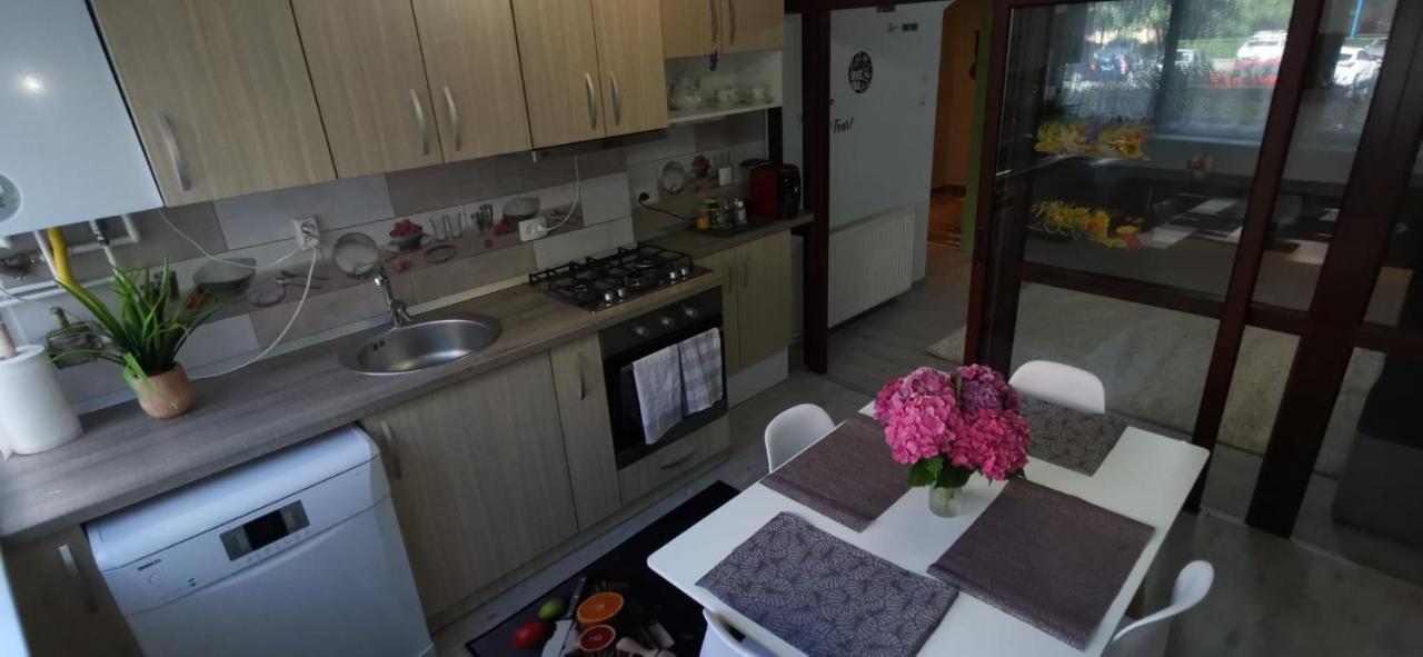 Ana Lux Apartments Брашов Экстерьер фото