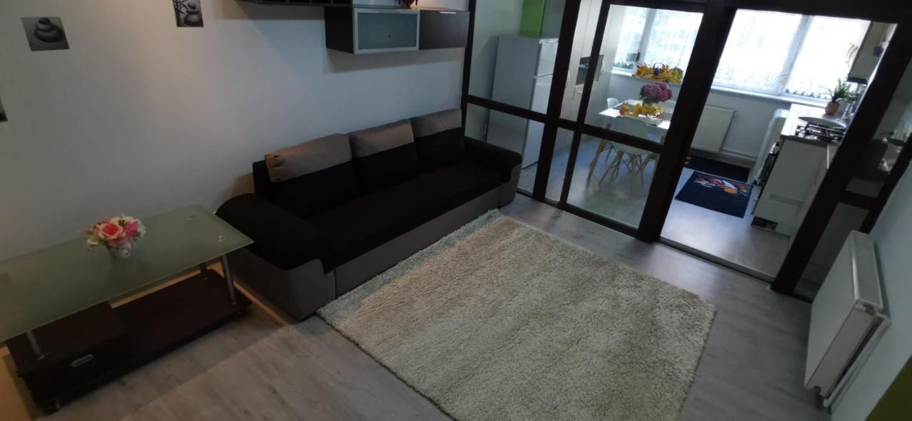 Ana Lux Apartments Брашов Экстерьер фото